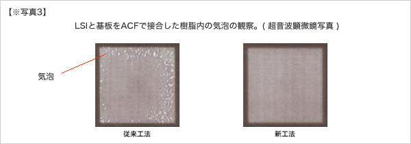 img06003_03.jpg